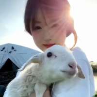 🐄🐎小刘头像