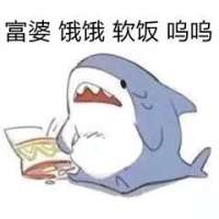 被安排的明明白白头像