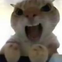 ****心头像