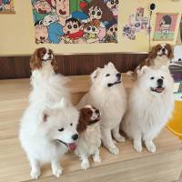 尘尘岑头像