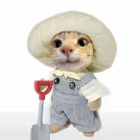 XiTuTn.🐾头像