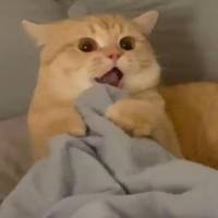 ***了头像