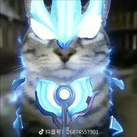 *****.头像