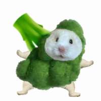 老公为男同出走的那个晚上头像