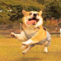 ***1头像
