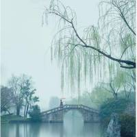**发头像