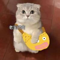 **1头像