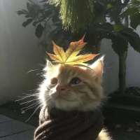 ***珏头像