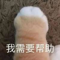 ***空头像