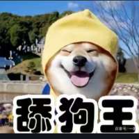 丶舔狗男陪玩（百⭐农药代练）头像