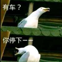 ******多头像