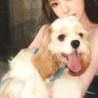 她说给狗都不给我头像