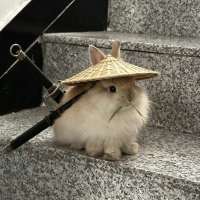 ANGINU头像