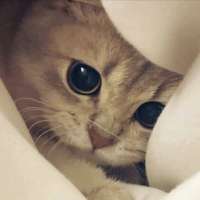 ****)头像