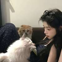 韵茜头像