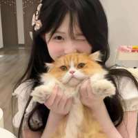 高冷小美,头像