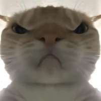 ****吧头像