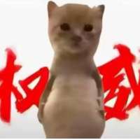 ******人头像