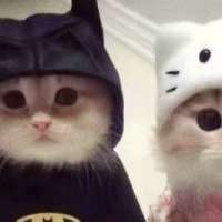 香香的猪油.头像