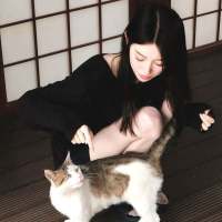 小柿朵头像