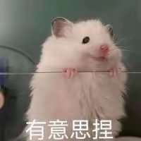 ****一头像