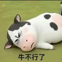 无悔呀头像