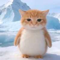 猫咪赴晚头像