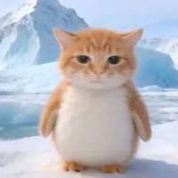 猫咪赴晚头像