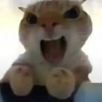 ***啊头像