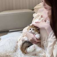分开本是常态头像