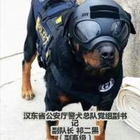 ******9头像