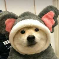 ****梦头像
