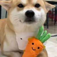 ******s头像