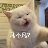 **儿头像