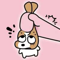 骂我当调情头像