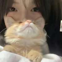 3700头像