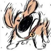 枕雾·头像