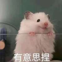 繁月头像