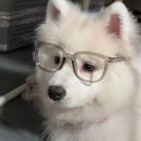 吣秦头像