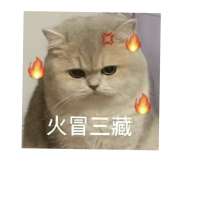弹琴撒头像