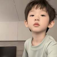 秦桧.头像