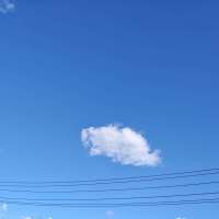 屿*屿头像