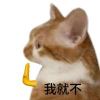 **歌头像