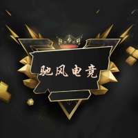 驰风电竞主理人头像
