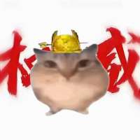 ****了头像