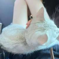 宝宝贝贝。头像