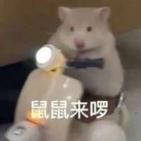 ***7头像