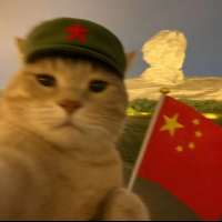 极速陪头像