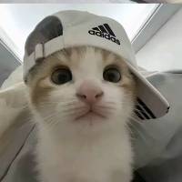 运气好选手头像