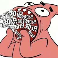白寻头像